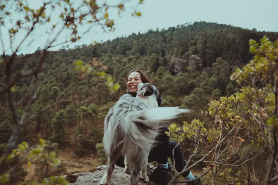 A dog and owner exploring an unfamiliar trail together