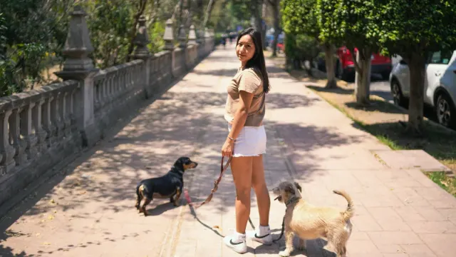 A leashed dog straining forward and barking on a sidewalk while another dog passes at a distance