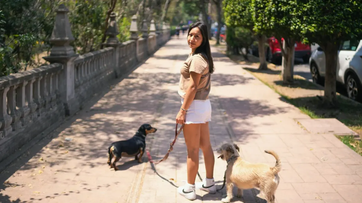 A leashed dog straining forward and barking on a sidewalk while another dog passes at a distance