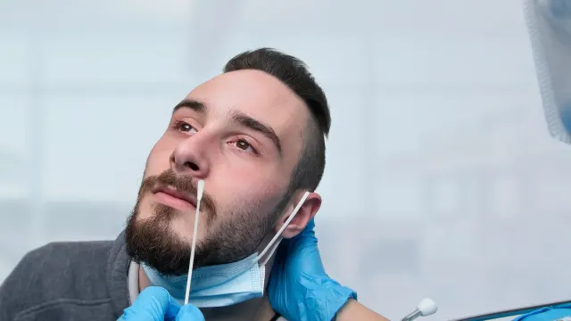 A veterinarian gently swabs the inside of a dog's cheek for a DNA sample