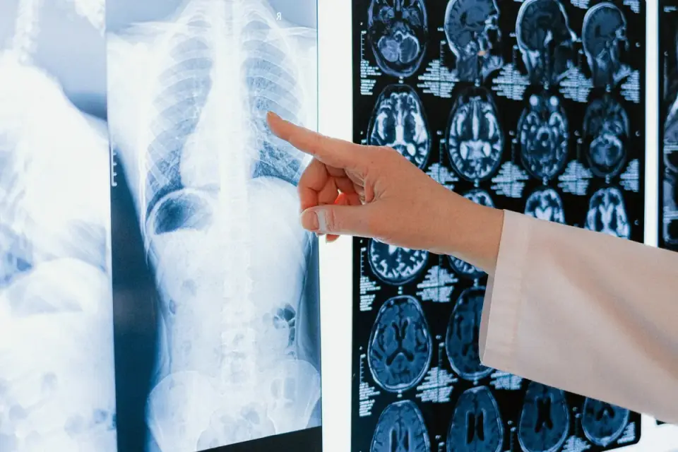 A veterinarian reviewing imaging alongside an older dog during a wellness visit