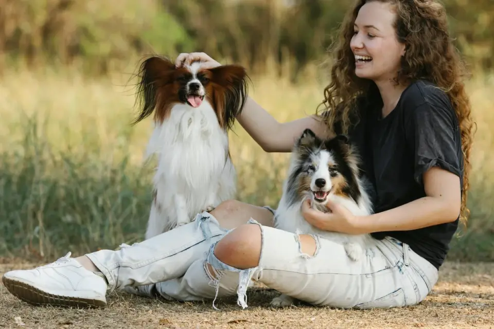 A veterinarian talking with a dog owner about enrichment and diet for an aging pet