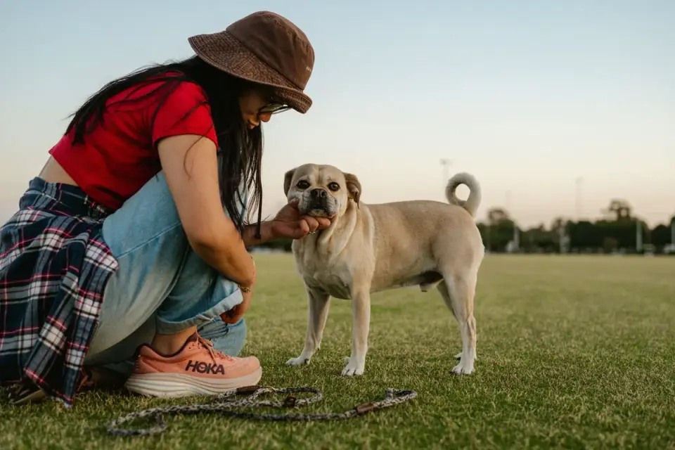 A woman crouches to greet a hesitant dog on a leash during an outdoor session