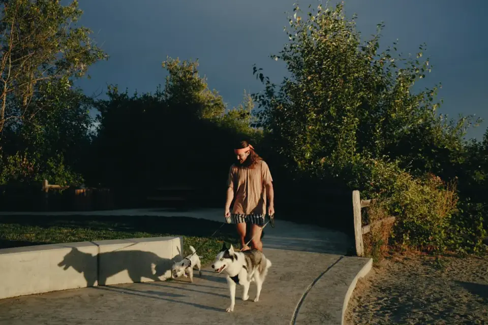 An owner walking a senior dog slowly along a flat sidewalk