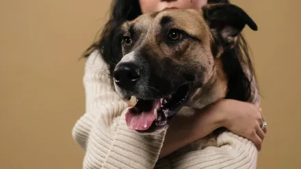 Dog and owner together