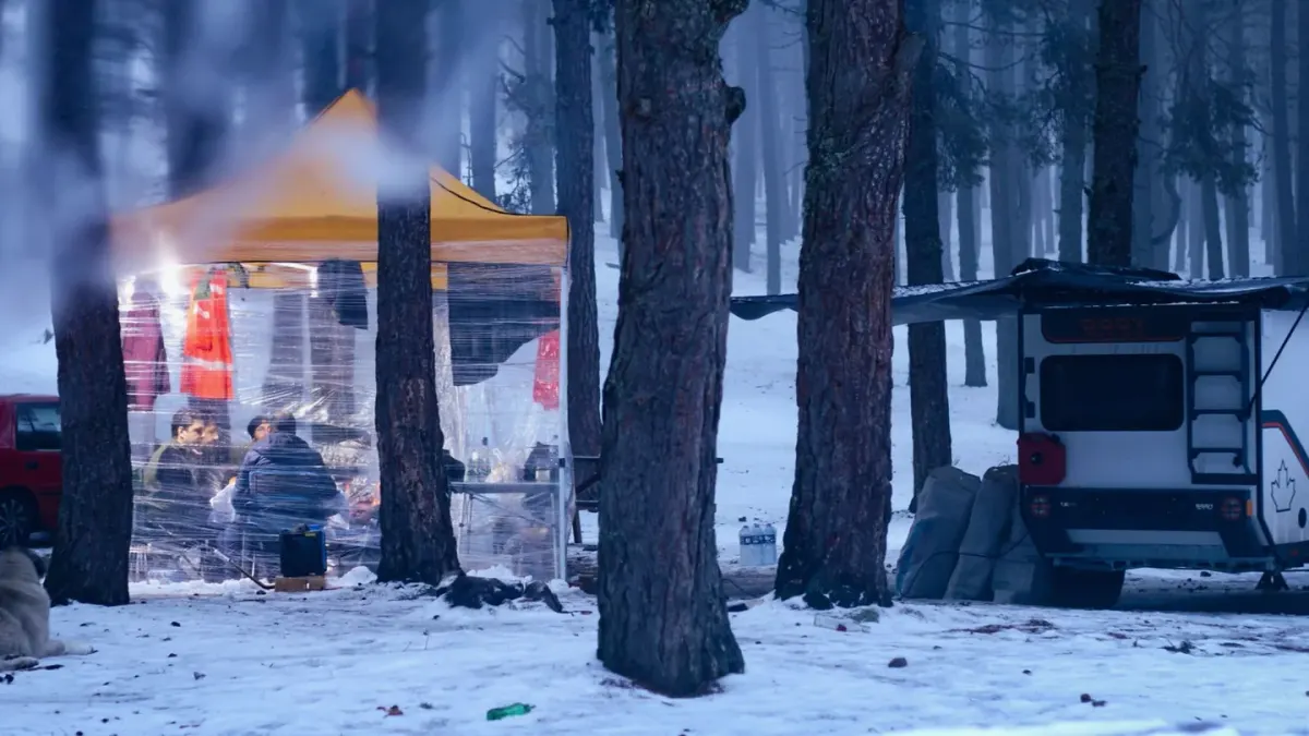 Dog camping with an owner