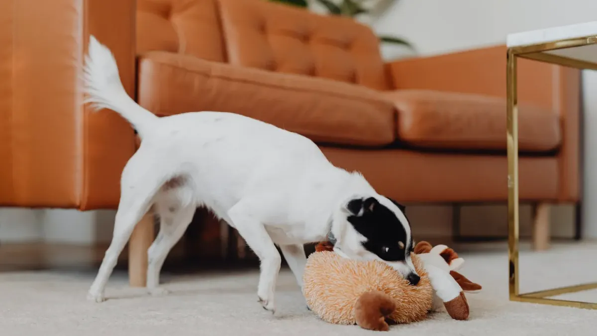 Dog eating from a bowl at home