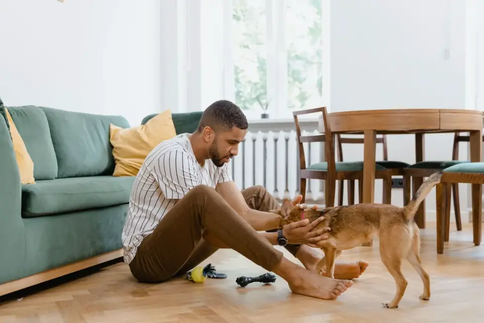 Dog eating from a bowl at home