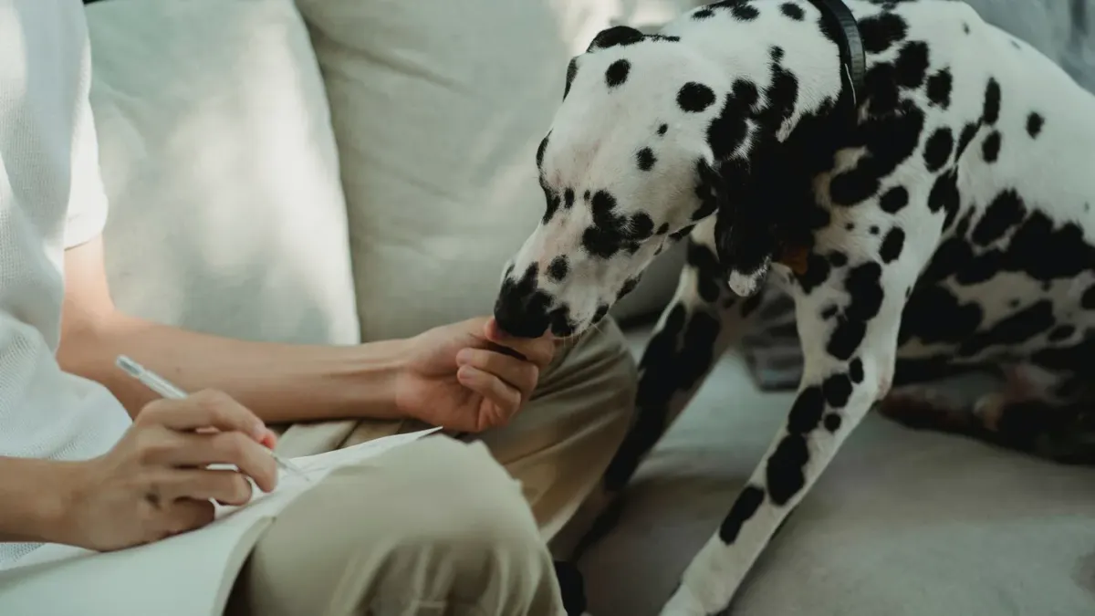 Dog eating from a bowl at home