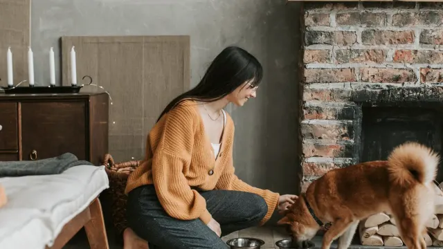 Dog eating from a bowl