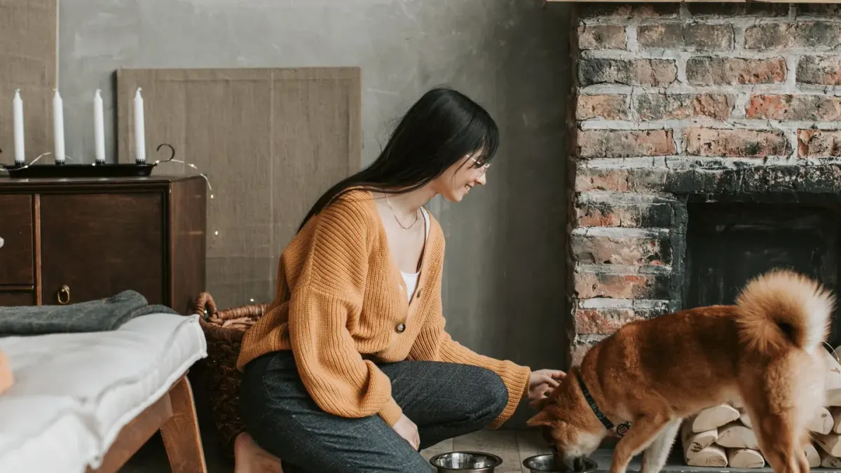 Dog eating from a bowl