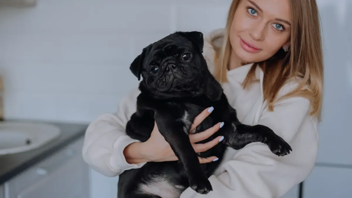 Dog in a kitchen with an owner