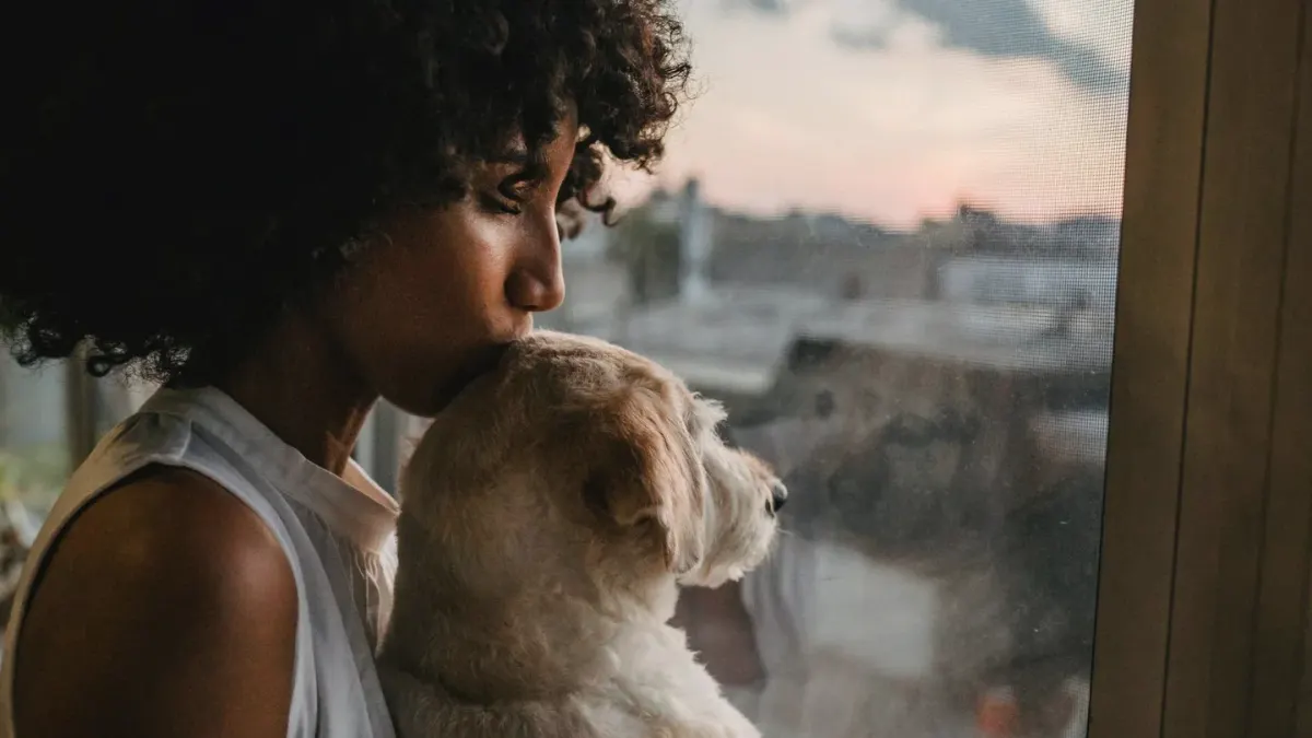 Dog owner gentle interaction home