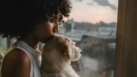 Dog owner gentle interaction home