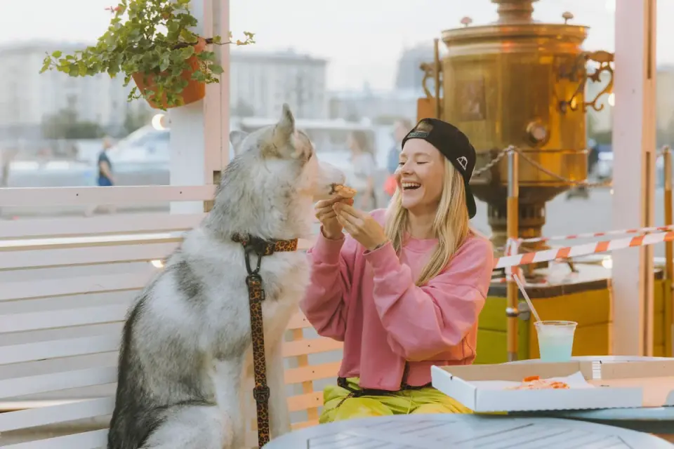 Dog owner preparing a meal