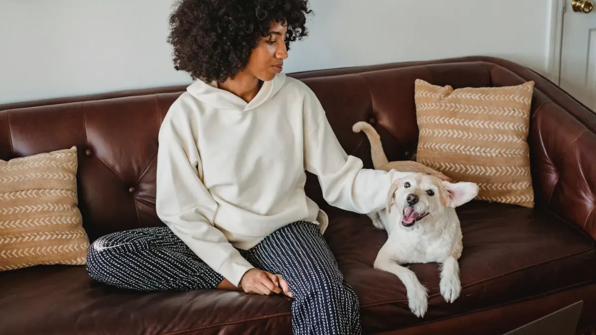 Dog resting beside an owner