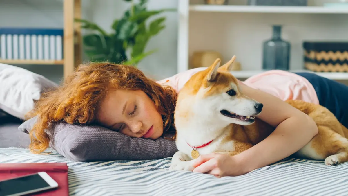 Dog sleeping at home
