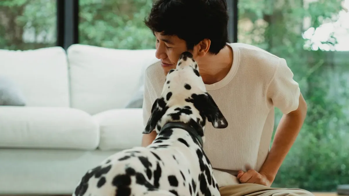 Dog with an owner at home