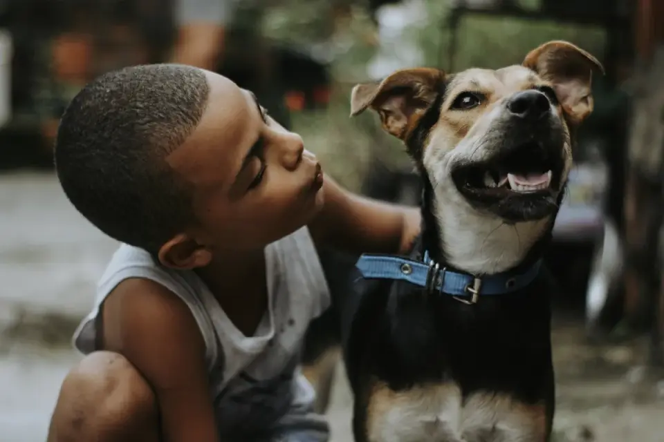 Dog with an owner at home
