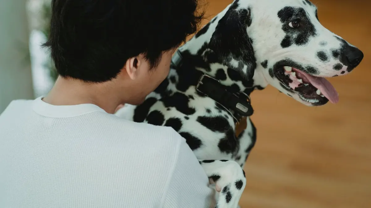 Dog with an owner at home