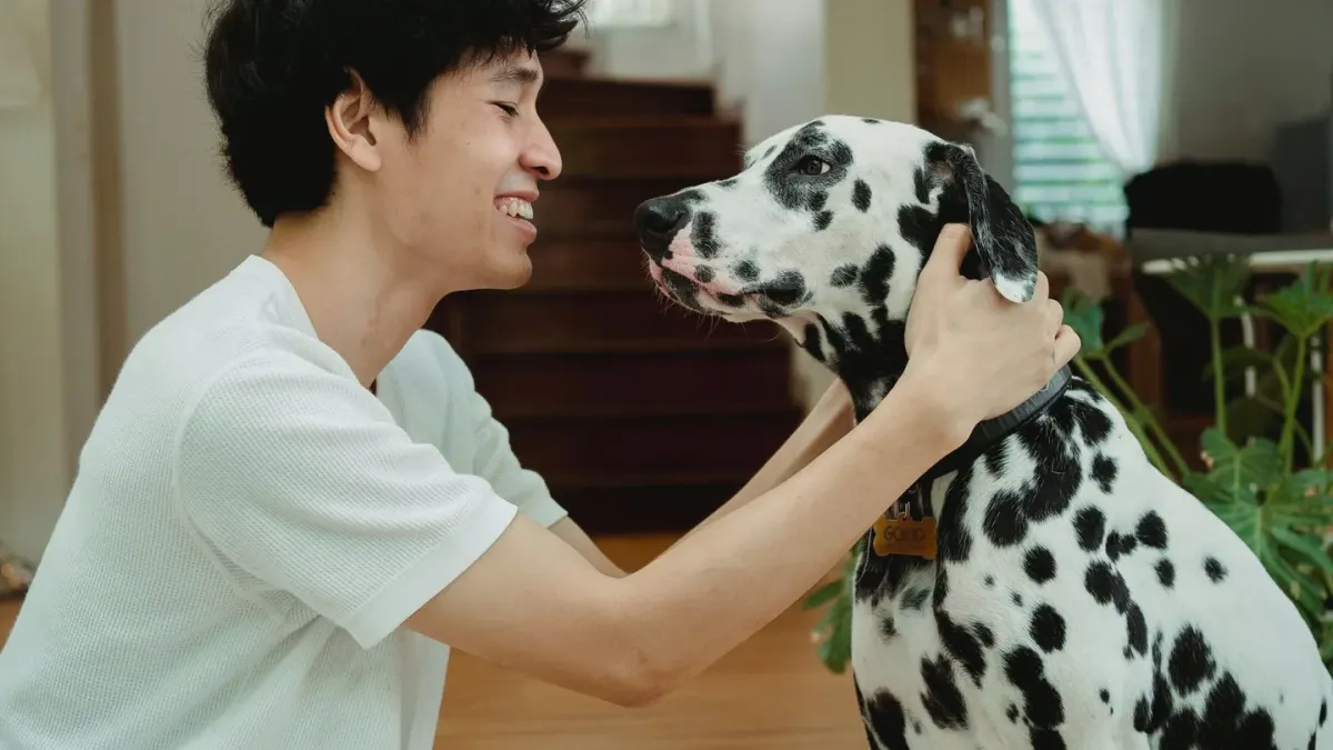 Dog with an owner at home