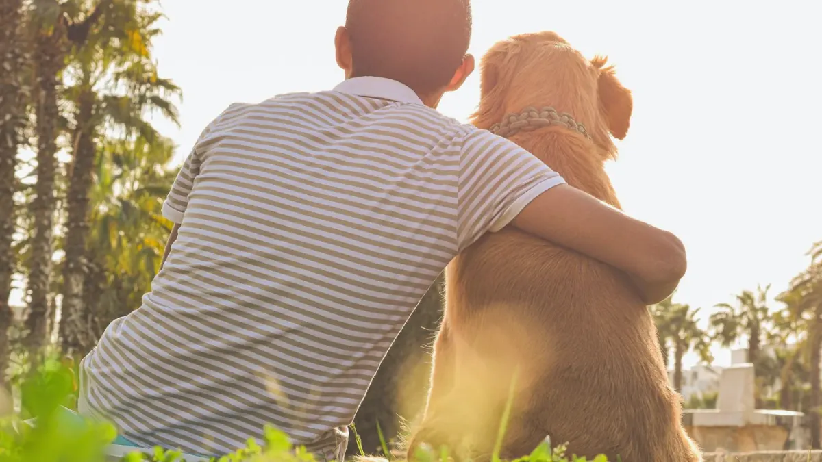 Older dog with an owner in a park