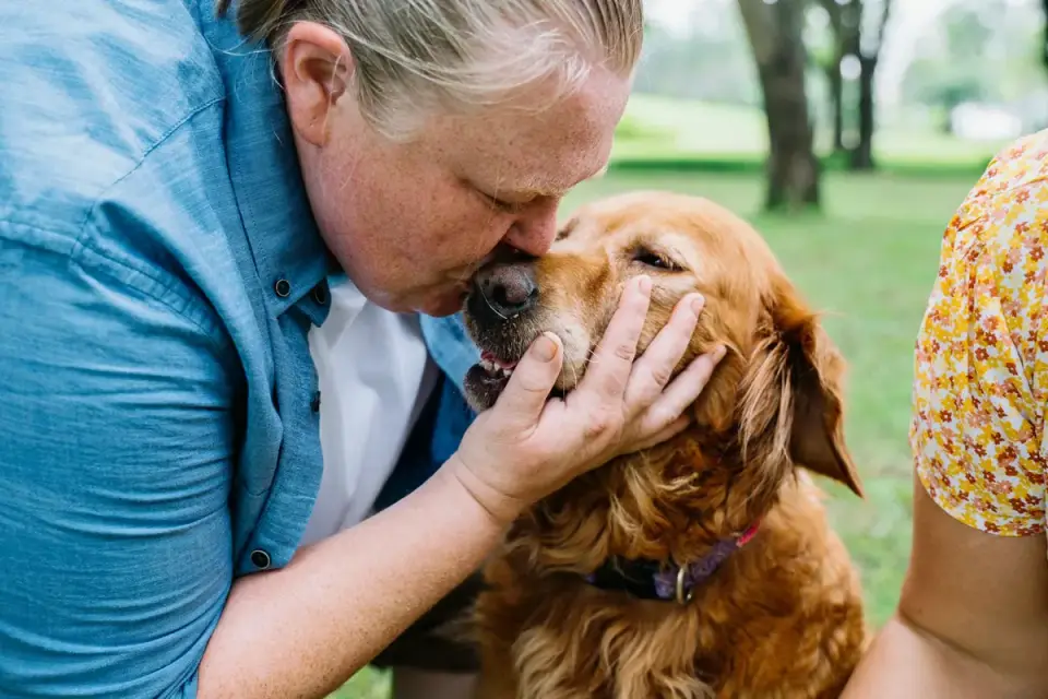 Older dog with an owner in a park