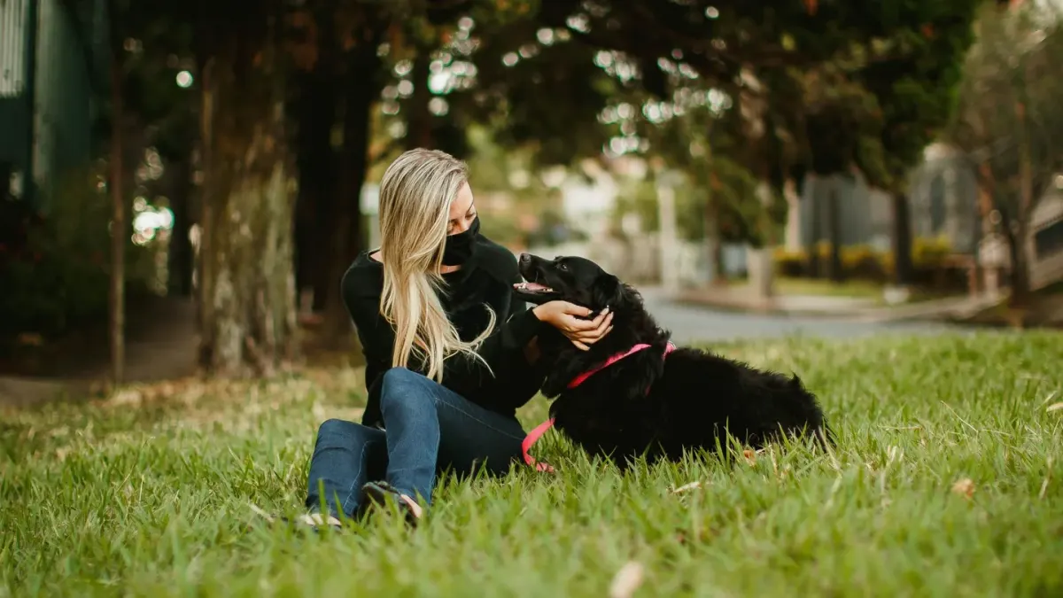 Owner crouching to check a senior Labrador's hind paw placement outdoors