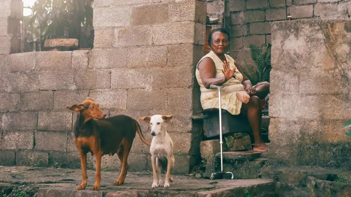 Owner helping a senior dog
