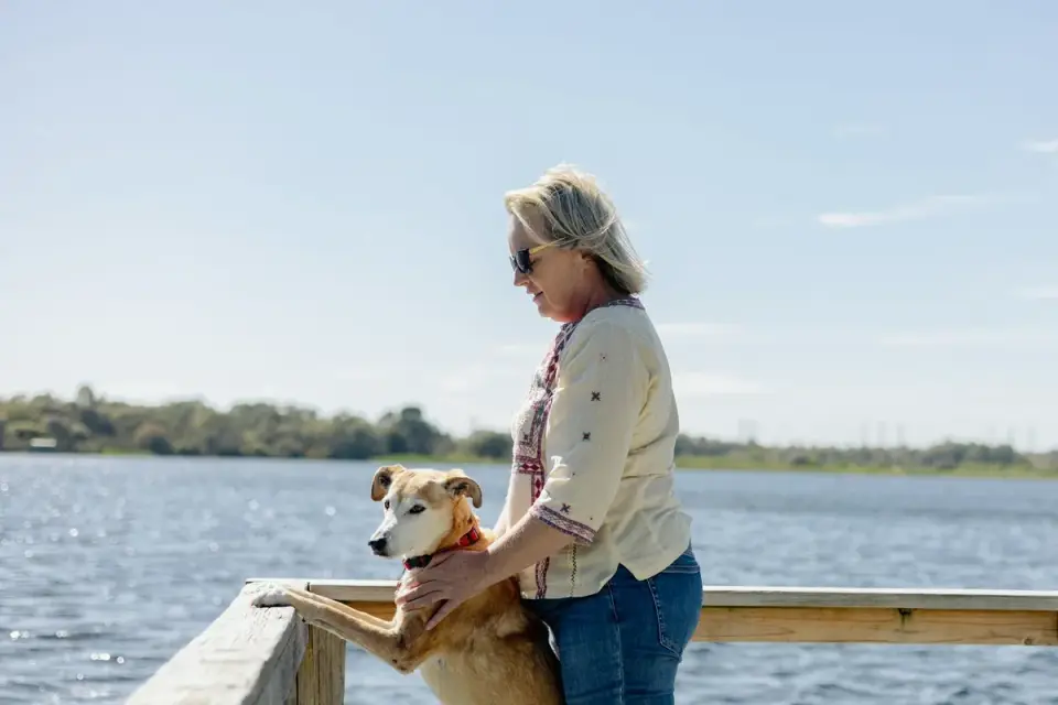 Owner offering a chewable calming supplement to a senior dog on a couch