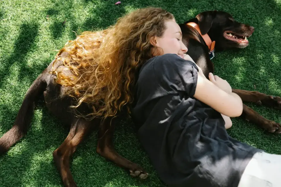 Owner viewing a medium-sized dog from above to check waist definition