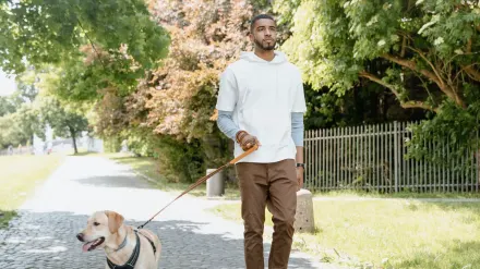 Senior dog walking slowly